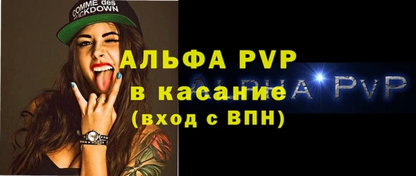 сатива Богданович