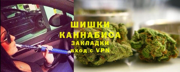 сатива Богданович