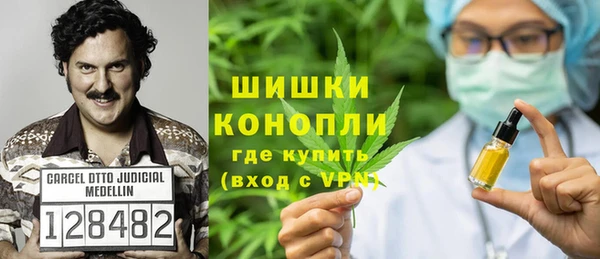 сатива Богданович