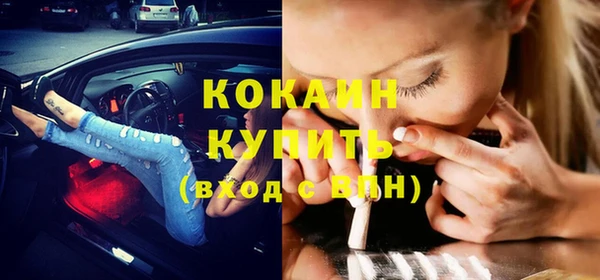 сатива Богданович