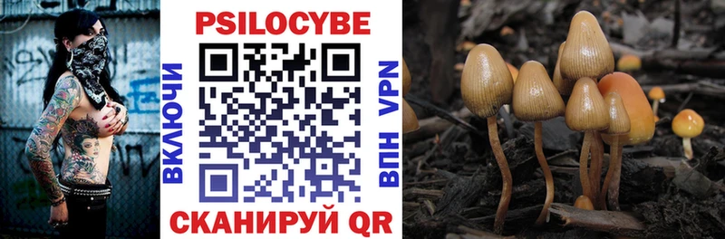как найти закладки  дарк нет клад  Псилоцибиновые грибы MAGIC MUSHROOMS  Ставрополь 